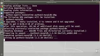 Python Import Error ModuleNotFoundError : No Module Named MySQLdb in Ubuntu Linux