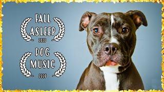 Music For Pit Bulls ~ Dog Music For Pitbull ~ Calming Music for Dogs to relax