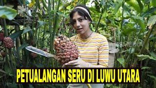 [FULL] PETUALANGAN SERU DI LUWU UTARA | JEJAK PETUALANG (04/05/24)