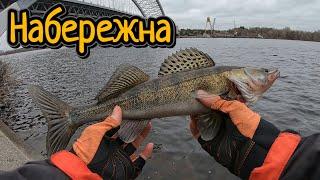 Ранковий Streetfishing. Судак на Київській Набережній