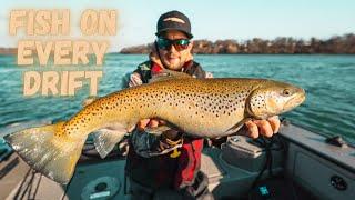 NIAGARA RIVER - Drifting for Steelhead and Brown Trout