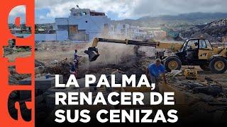 La Palma, la isla intenta renacer de sus cenizas | ARTE.tv Documentales