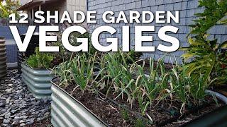 12 Perfect Vegetables To Grow in a Shady Garden Space