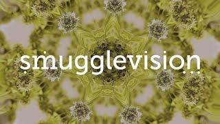 SmuggleVision - The First Online TV Channel Documenting Oregon's Historic New Pot Era.