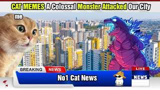 CAT MEMES: A Colossal Monster Attacked Our City