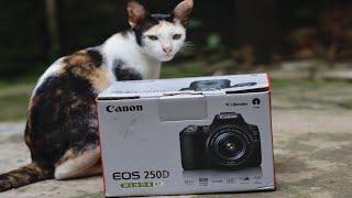 Canon 250d SL3 Unboxing and 4k video Tasting