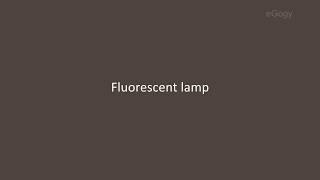 Fluorescent lamp and its working