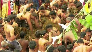 Indian cow dung festival celebrates end to Diwali | AFP