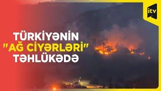 Türkiyə meşə yanğınlarının çəngindən qurtula bilmir