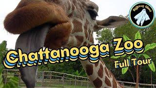 Exploring the Chattanooga Zoo (Full Tour)