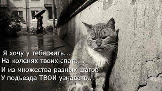 ПСИХАПАТ2008-НЕ УМЕР.ОБРАЩЕНИЕ К ПОДПИСЧИКАМ!