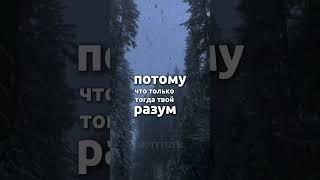 “Секрет свободы — жить в моменте”#успех #успех #цель #motivation #цитаты #мудрость #саморазвитие