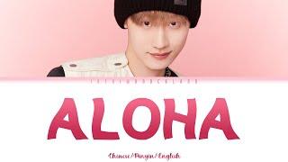 INTO1 AK Liu Zhang -《ALOHA》Color Coded Lyrics (Chi/Pin/Eng)