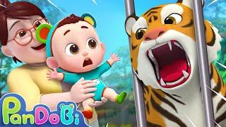 Let's Go to the Zoo | Learn Animals for Kids + More Nursery Rhymes & Kids Songs - Pandobi