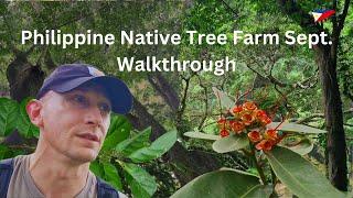 Philippine Native Tree Farm Walkthrough, New Native Tree Plantings, Rice Terraces Sept. 2024