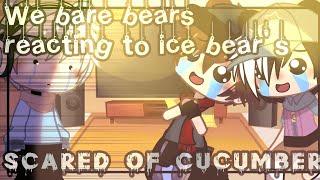 We Bare Bears reacting to Ice Bear's scared if cucumber ||GachaClub||Reaction vd