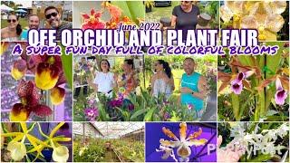 Fun at the orchid fair! Educational chats with vendors. A true colorful fair of nothing but bloom.