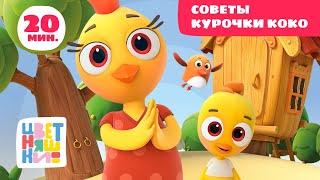 Цветняшки — Советы Курочки Коко — Сборник — Развивающий мультфильм