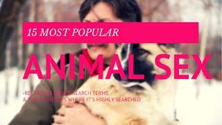 10 Most Popular Animal Sex-Related Internet Search Terms & The Countries Where It's Highly Searched