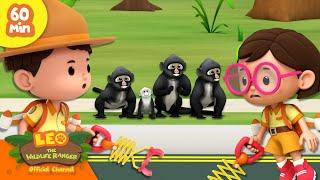  No Monkey Business!   Apes, Gorillas & more!  | Leo the Wildlife Ranger | Kids Cartoons