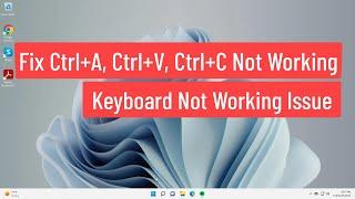 Fix Ctrl+A ,Ctrl+V, Ctrl+C Not Working || Keyboard Not Working Issue In Windows 11/10