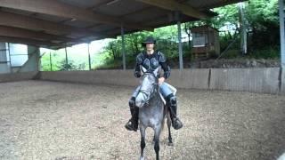 Breaking A Horse Properly With Alvin R Boudy Jr (part eleven)