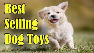 10 Top Selling Dog Toys on Amazon