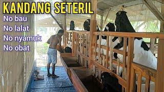 Kandang Terkoleksi Dan Seteril Anti Bau Anti Nyamuk Anti Lalat Tanpa Obat