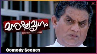 Manushya Mrugam Full Movie Comedy | Prithviraj | Kiran Rathod | Oviya | Baburaj | Malayalam Comedy