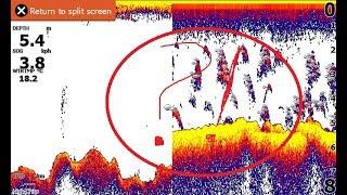 Почему не стоит покупать Lowrance hook2 7x tripleshot gps. Проблема с датчиком.