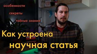 Как устроена научная статья простыми словами