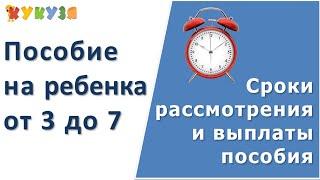 Пособие от 3 до 7 лет. Сроки выплаты