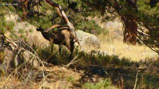 Rocky Mountain National Park now closed because of COVID-19