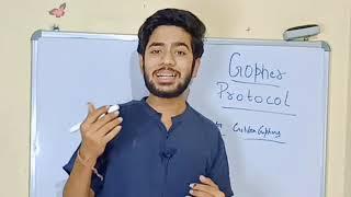 {Hindi} What is Gopher ? Gopher Protocol Explained in Detail