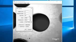 Using ImageJ to add a scale bar to an image