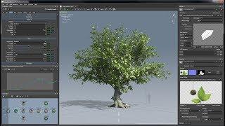 HOW TO CREATE GROWTH ANIMATION PLANT IN SPEEDTREE CINEMA AND EXPORT ANIMATION IN 3DS MAX