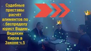 Судебные приставы расчёт алиментов по - беспределу юрист Вадим Видякин Киров в Законе ч.5