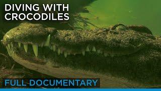 Diving with Crocodiles (full documentary) | Earth Touch TV