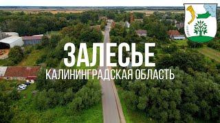 4K. Залесье. Полесский район. Калининградская область