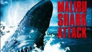 Malibu Shark Attack / Music Video