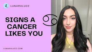 Signs a Cancer ️ Likes You