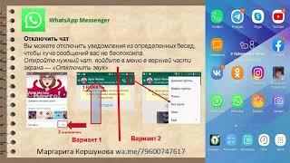 Бизнес-марафон. Маргарита Коршунова "WhatsApp Messenger"