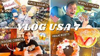 KUPUJU BAVLNKY V AMERICE, KUBA SI SPLNIL SEN! (VLOG KUBAADANCA)