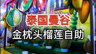 【泰国曼谷今年第一家榴莲自助】100元 金枕头榴莲任吃