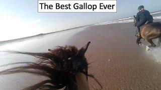 The best gallop I have ever had, on any horse. What a Brilliant Mare Bella is, i just love her 