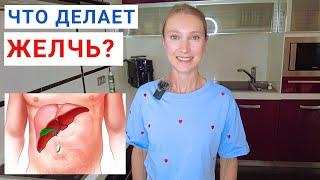 Что делает ЖЕЛЧЬ? Что делает ЖЕЛЧНЫЙ? ОТТОК ЖЕЛЧИ: как наладить? Камни в желчном.