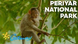 Periyar National Park | Getaway 2019