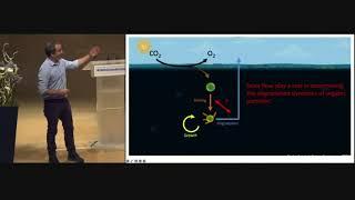 Unraveling the microscale mechanisms driving particle degradation in the ocean