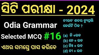 CT Exam 2024 Odia Grammar ll CT Exam Odia Grammar ll CT Exam 2024 ll Odia Grammar ll Master Brain IQ