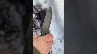 Corvus Survival Field Knife #collector #tool #review #bushcraft #survival #survivalknife